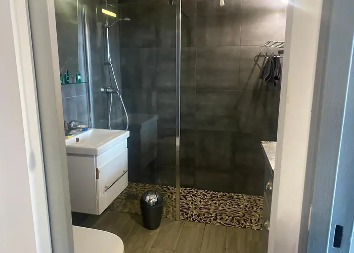 Apartment Duplex F4-2 Balcons Face A La